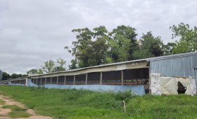 Granja Avícola de 33 ha - Dpto Uruguay